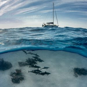 Dolphin & Sailing<br>DEPOSIT ONLY <br>Full Price pp.: €999 <br> Remaining Balance <br> pp.: €600